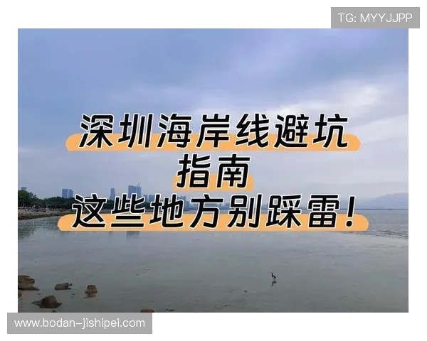 体育app下载最全避坑指南 彩票与数字高频玩法防骗